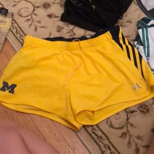 University of Michigan Adidas Shorts